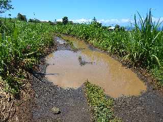 St-Pierre - Ligne Paradis - Non, pas la Rue du Docteur Schweitzer