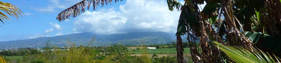 St-Pierre - Ligne des Bambous - Vue vers les hauts