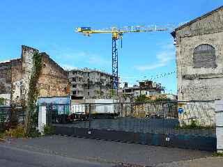 St-Pierre - Usine des Casernes - L'arbre du Voyageur