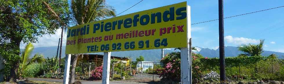 St-Pierre -  Jardi Pierrefonds - Plantes
