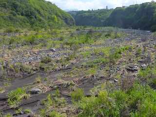 Cyclone Dumile - Janvier 2013 - Bras de la Plaine