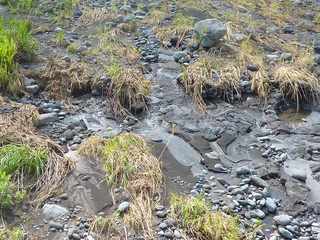 Cyclone Dumile - Janvier 2013 -