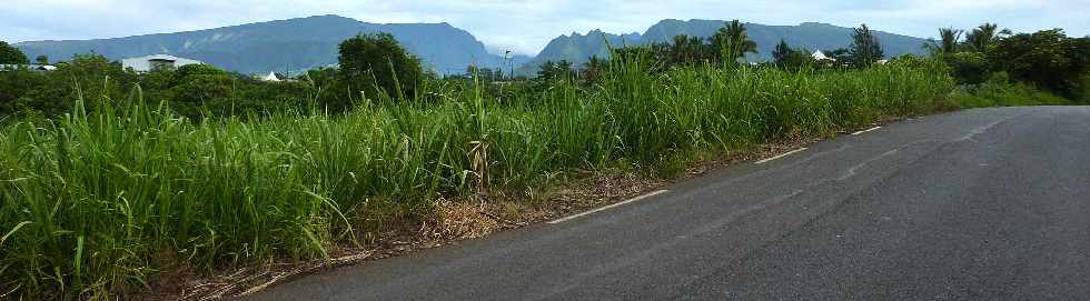 Chemin Diagonal - Ravine des Cabris