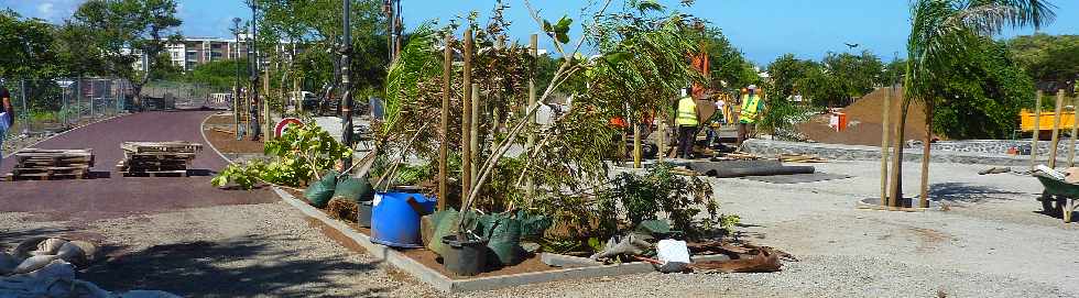 St-Pierre - Ravine Blanche -Parc urbain - plantations -