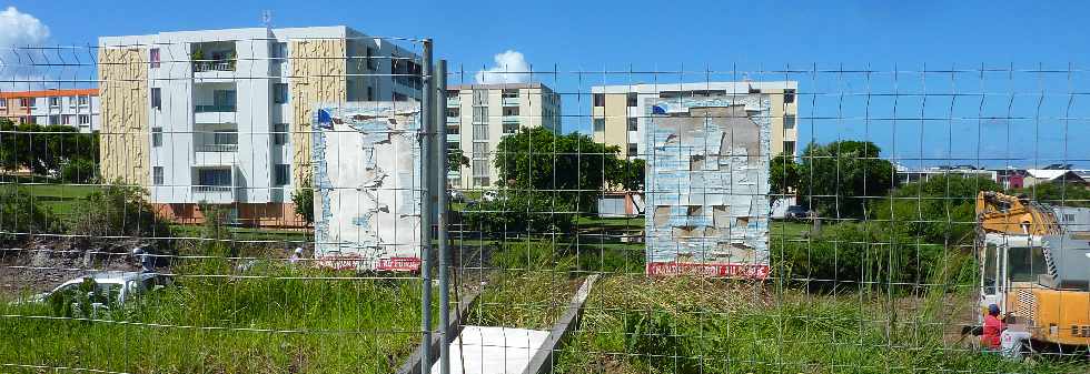 St-Pierre - Ravine Blanche -  Opration Jardins des iles