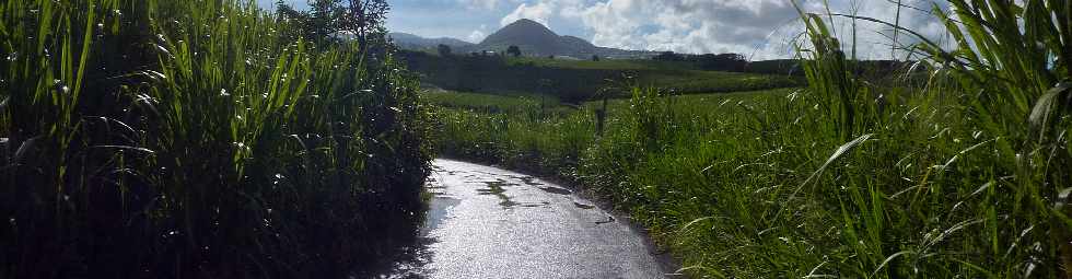 Bassin Plat -  Chemin Ringuin - Vue sur Piton de Mont Vert