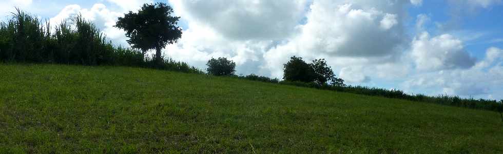 Bassin Plat -  Chemin Ringuin -  Herbages