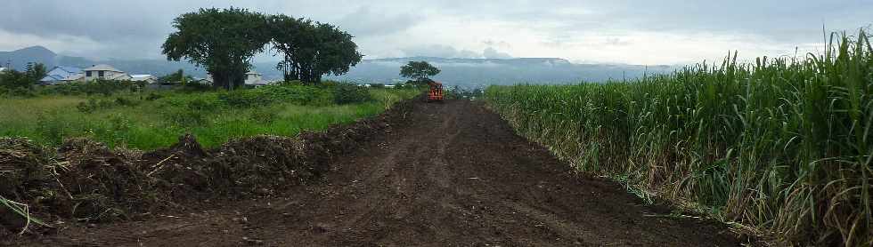 Bois d'Olives - Dfrichement pour la pose de la canalisation chantier de l'interconnexion des primtres irrigus du Bras de la Plaine et du Bras de Cilaos