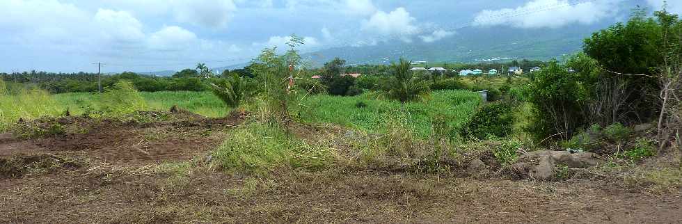 ois d'Olives - chantier de l'interconnexion des primtres irrigus du Bras de la Plaine et du Bras de Cilaos