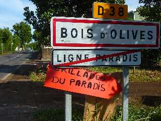 Ligne Paradis : Bois d'Olives