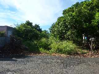 Bois d'Olives - Emplacement de la canalisation de la SABRAP