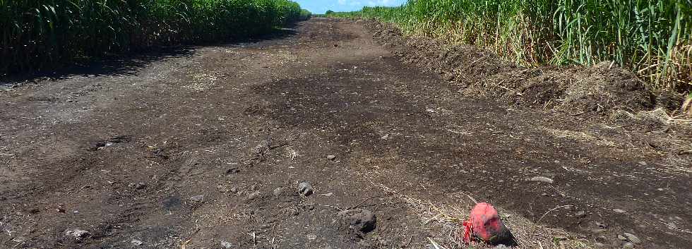 Pierrefonds -Emplacement du chantier d'interconnexion Bras de la Plaine - Bras de Cilaos