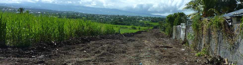 Chantier interconnection Bras de la Plaine - Bras de Cilaos - Dfrichement