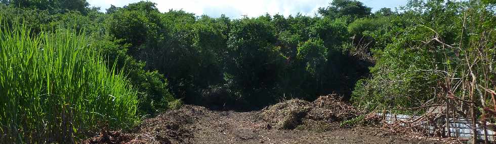 Chantier interconnexion Bras de Cilaos - Bras de la Plaine - Ravine La Ouette