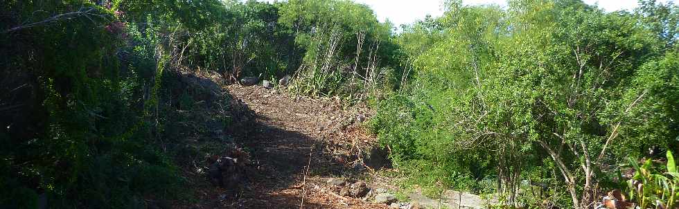 Chantier interconnexion Bras de Cilaos - Bras de la Plaine - Ravine La Ouette