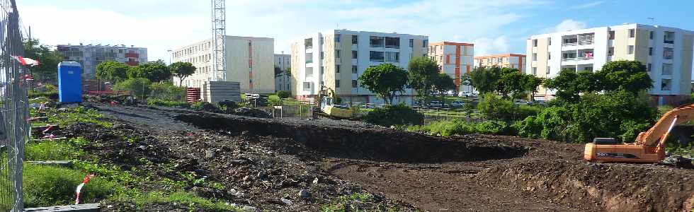 Ravine Blanche - Opration Jardin des Iles - Mars 2013