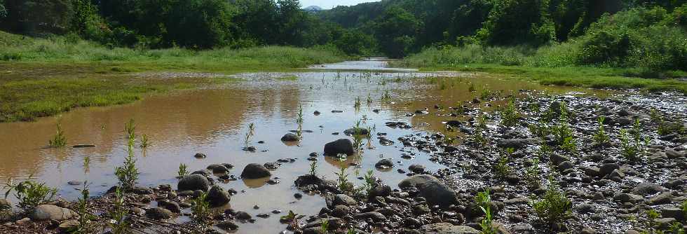 St-Pierre - 31 mars 2013 - Radier de la Rivire d'Abord aprs fortes pluies -