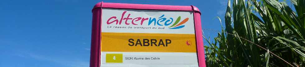St-Pierre - Ligne Paradis - Arrêt Réseau Alternéo - SABRAP