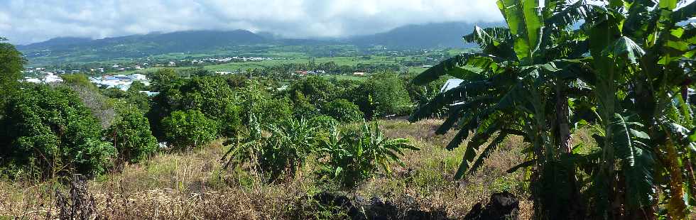 St-Louis - Cocos