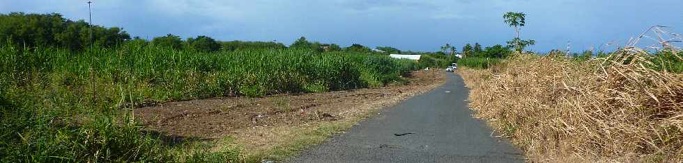 St-Louis - Dfrichement pour le chantier d'interconnexion