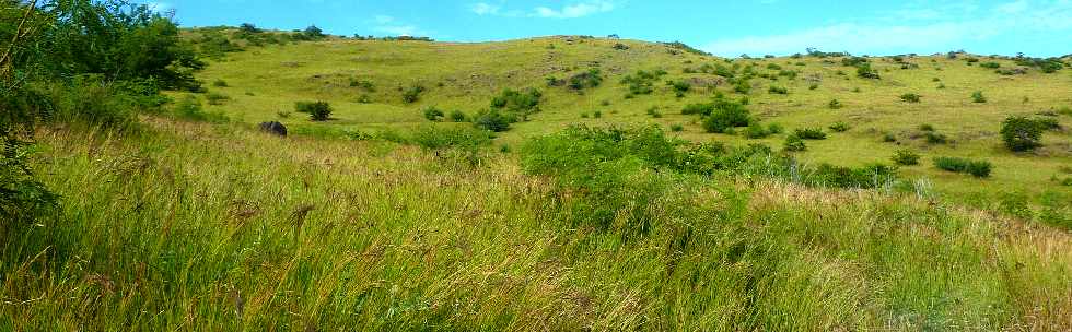 St-Paul - Savane - Croupe du Cap la Houssaye