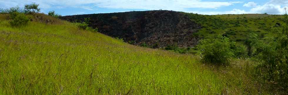 Savane de St-Paul - Avril 2013 - Petit Bras Canot