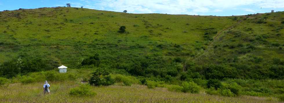 Petit Bras Canot - Savane de St-Paul - Avril 2013 -