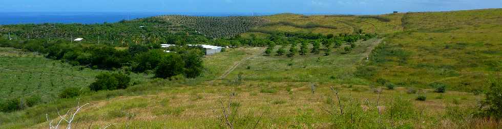 Savane de St-Paul - Avril 2013 - Vue sur les vergers