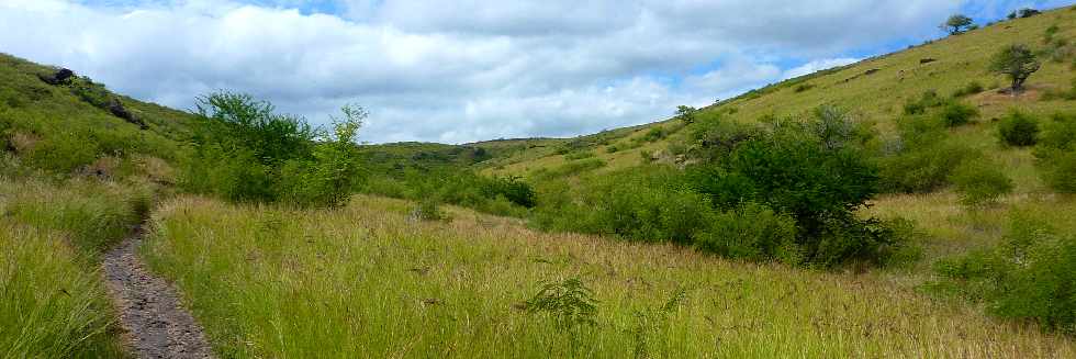 Savane de St-Paul - Avril 2013 - Ravine Patent Slip