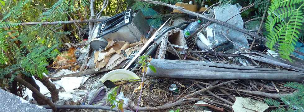 Dpt sauvage dans un virage de la monte vers l'Entre-Deux