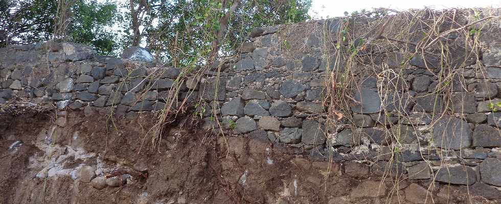 Bois d'Olives - Vieux mur - Chemin la Vote