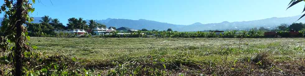 St-Pierre - Alle Jacquot -  Herbages coups