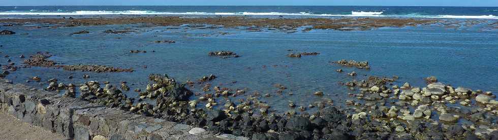 St-Pierre - Avril 2013 -  Plage  mare basse