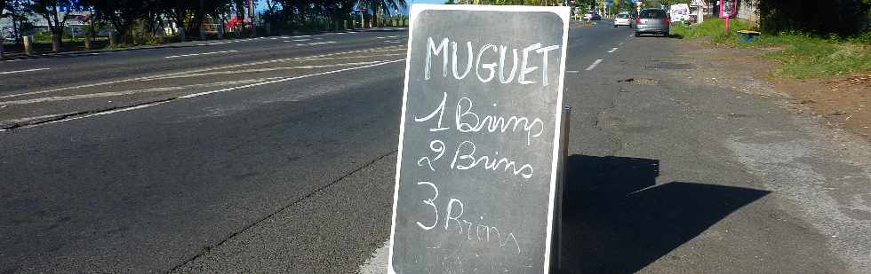 St-Pierre - 1er mai 2013 - Vente de muguet