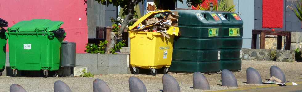 St-Pierre - 1er mai 2013 - Poubelles bd Hubert-Delisle