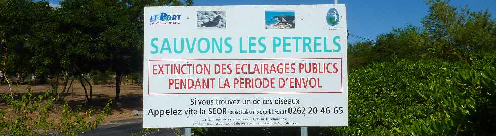Le Port - Mai 2013 - Sauvons les ptrels
