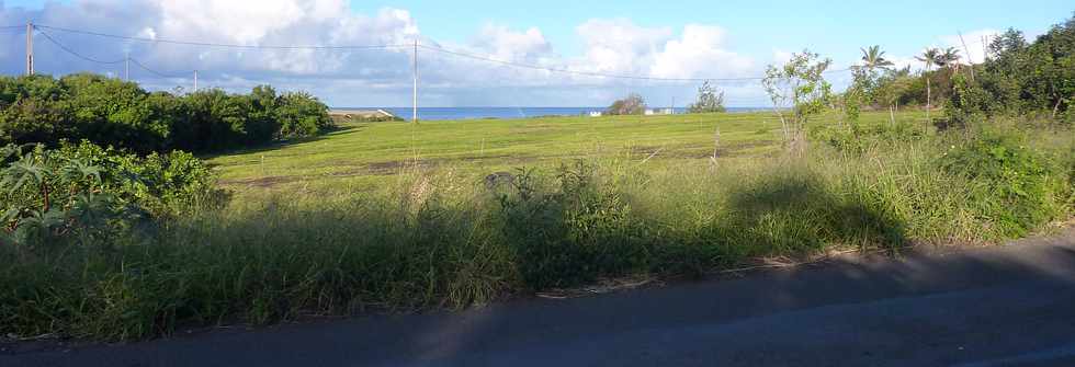 St-Pierre - Cap Rond - Plantations de gazon