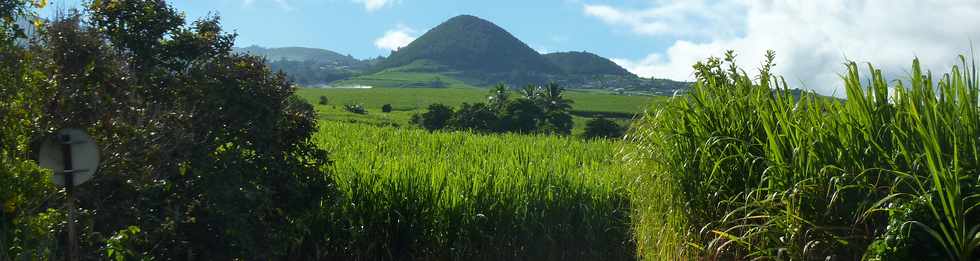 Piton Mont Vert vu du chemin de Bassin Plat