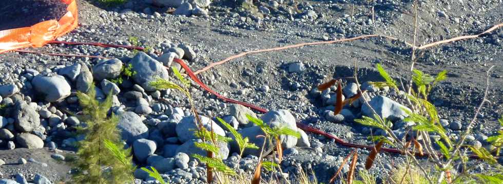 9 juin 2013 - Pierrefonds - Travaux de l'interconnexion des primtres irrigus du Bras de Cilaos et du Bras de la Plaine