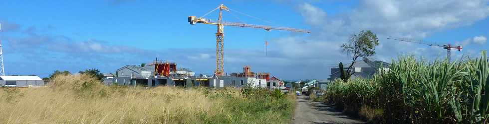 St-Lois - Chantier de LTS - Bois de Nfles