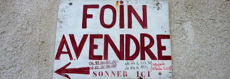 Foin  vendre