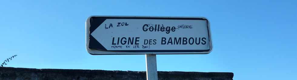 30 juin 2013 - St-Pierre - Ligne des Bambous - Collge La zol