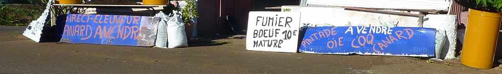 30 juin 2013 - St-Pierre - Ligne des Bambous - Fumier boeuf nature