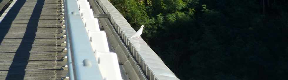 30 juin 2013 - Ravine des Cabris - Pont sur le Bras de la Plaine