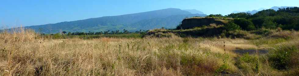 Savane prs de la ravine des Cabris