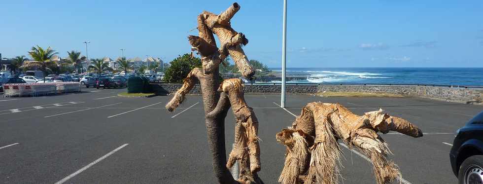 Vacoa mort - Parking Jumbo St-Pierre