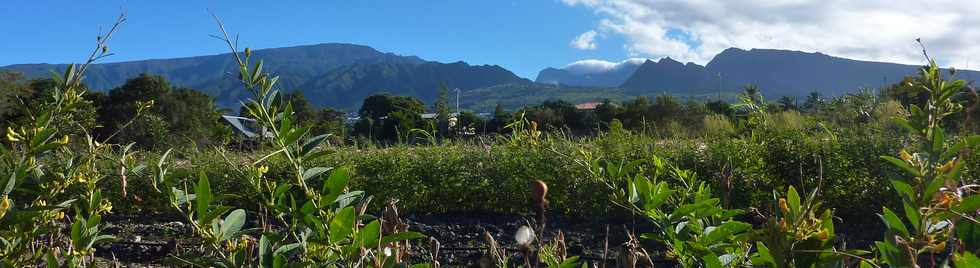 La Rivire St-Louis - Maraichage au Ouaki