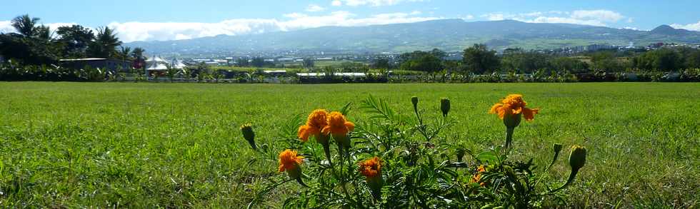 Aot 2013 - Ravine Blanche -St-Pierre - Herbages Alle Jacquot