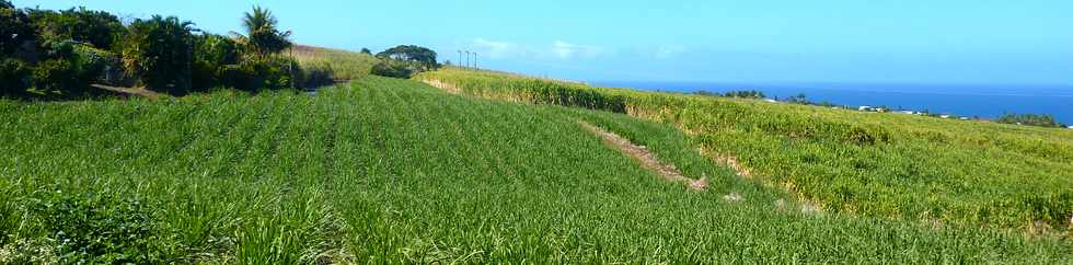 Chemin de Bassin Plat - St-Pierre