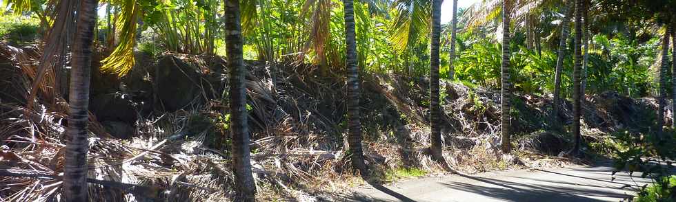 Domaine 1000 cocos - Chemin Bassin Chevrettes - Grands Bois les Hauts